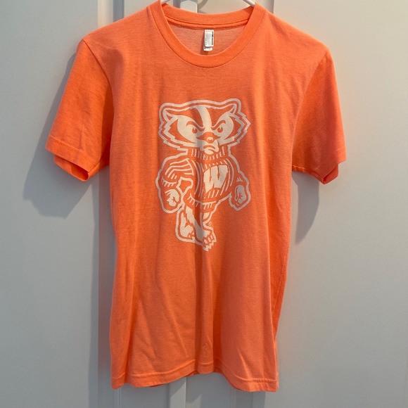American Apparel Wisconsin Badgers Tee - Picture 1 of 4